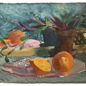 Oranges on Glass Plate with Mirror