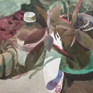 Plant, Bottle, Curled Cloth