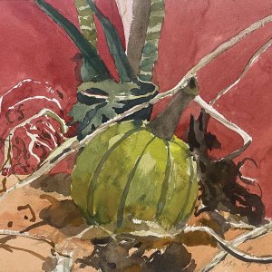 Pumpkin and Vines