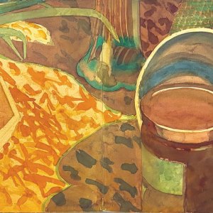 Still Life with Aloe and Reflector