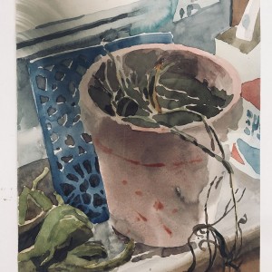 Withered Plant and Pepsi Carton