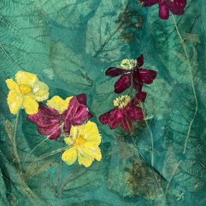 Cosmos 1