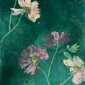Cosmos