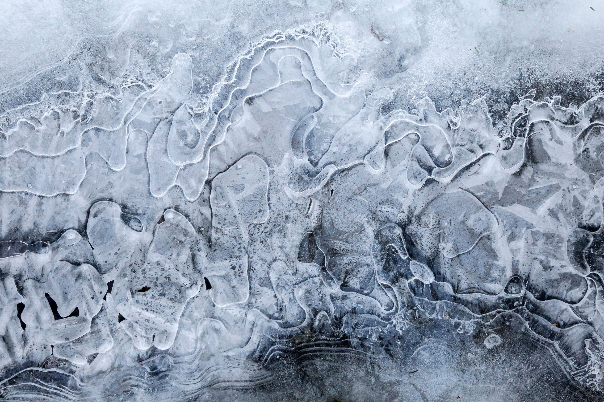 Gene-Parulis, Ice Patterns, dye-infused aluminum print, winter, ice, photograph